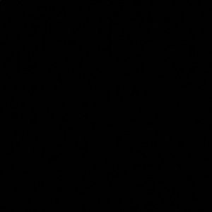 Meet your Posher, Alesia